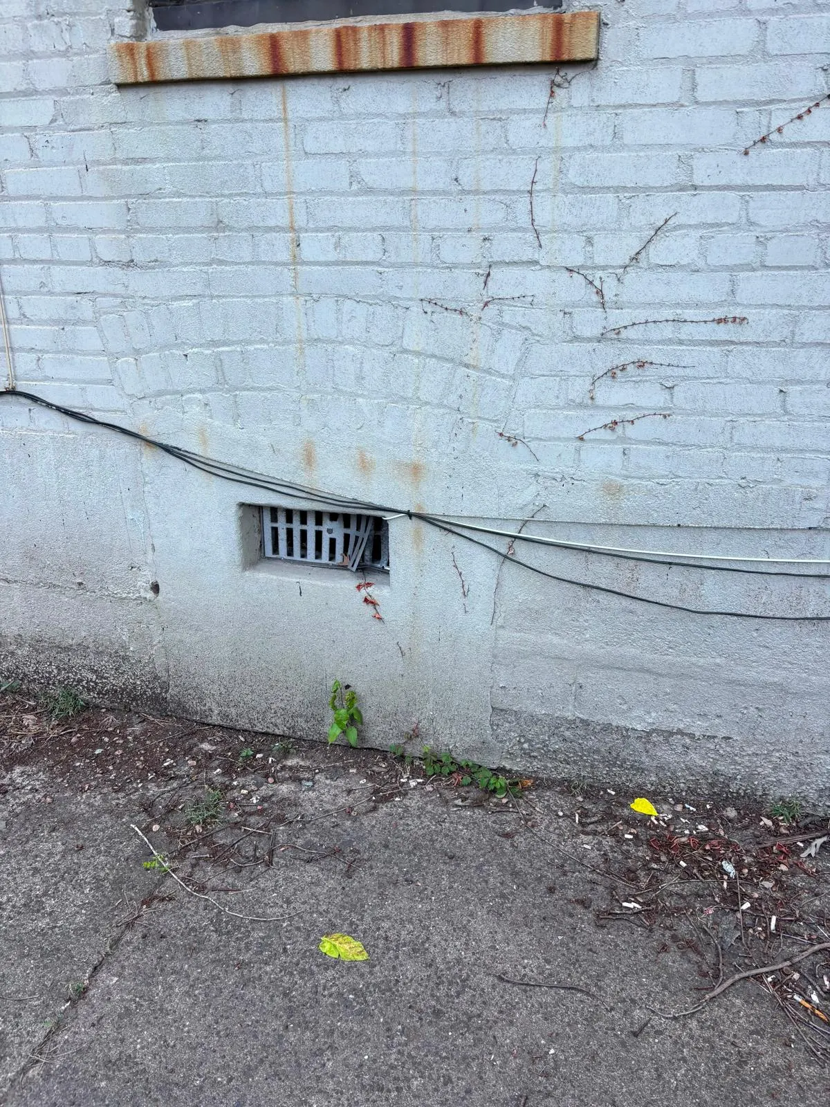 A cellar window grate with broken and missing bars at the base of a painted brick wall