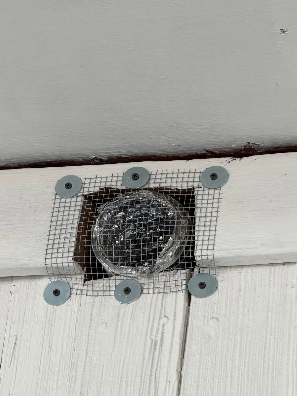 Hardware cloth screwed over a wall vent with fender washers